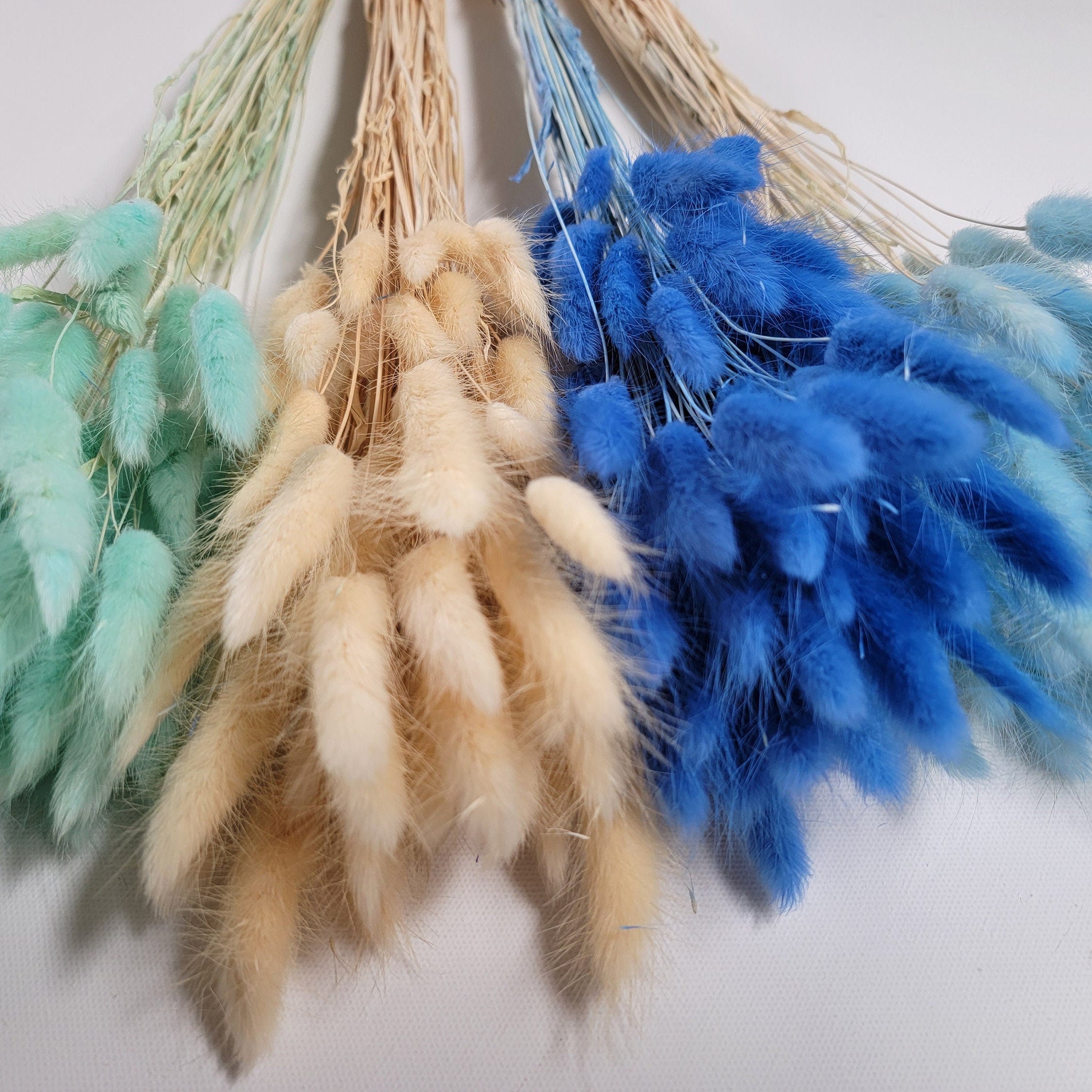 60 Stems Blue Dried Bunny Tail Grass: Boho Wedding Decor